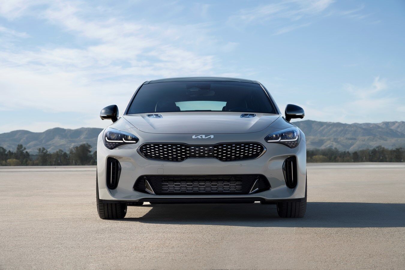 2022 Stinger Scorpion Sonderedition